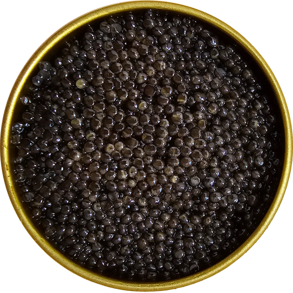 Luxurious Caviar Imperial from World Caviar House Singapore, Premium Gourmet Selection